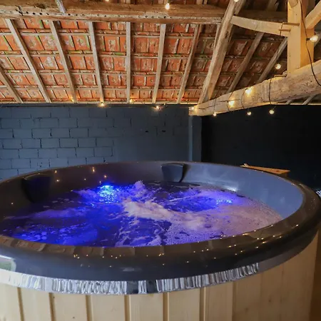 Villa So Chez Pommet 03 - Piscine Chauffee - Basket - Sauna 2h Lyon - 30p
